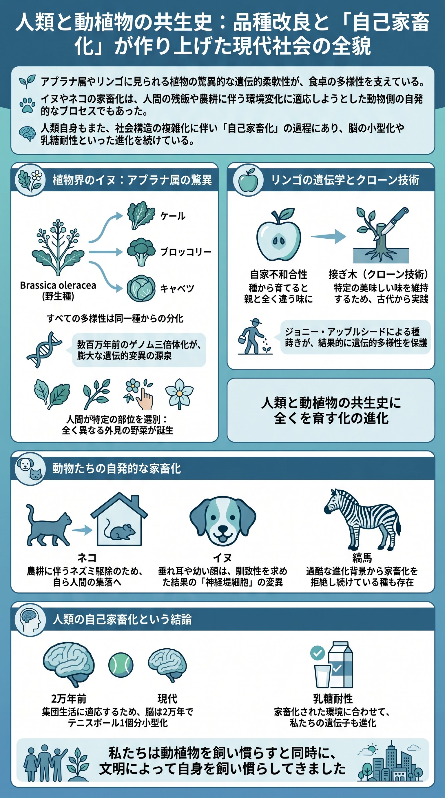 人類と動植物の共生史：品種改良と「自己家畜化」が作り上げた現代社会の全貌 - 1分でわかるスライド要約 (manabi)