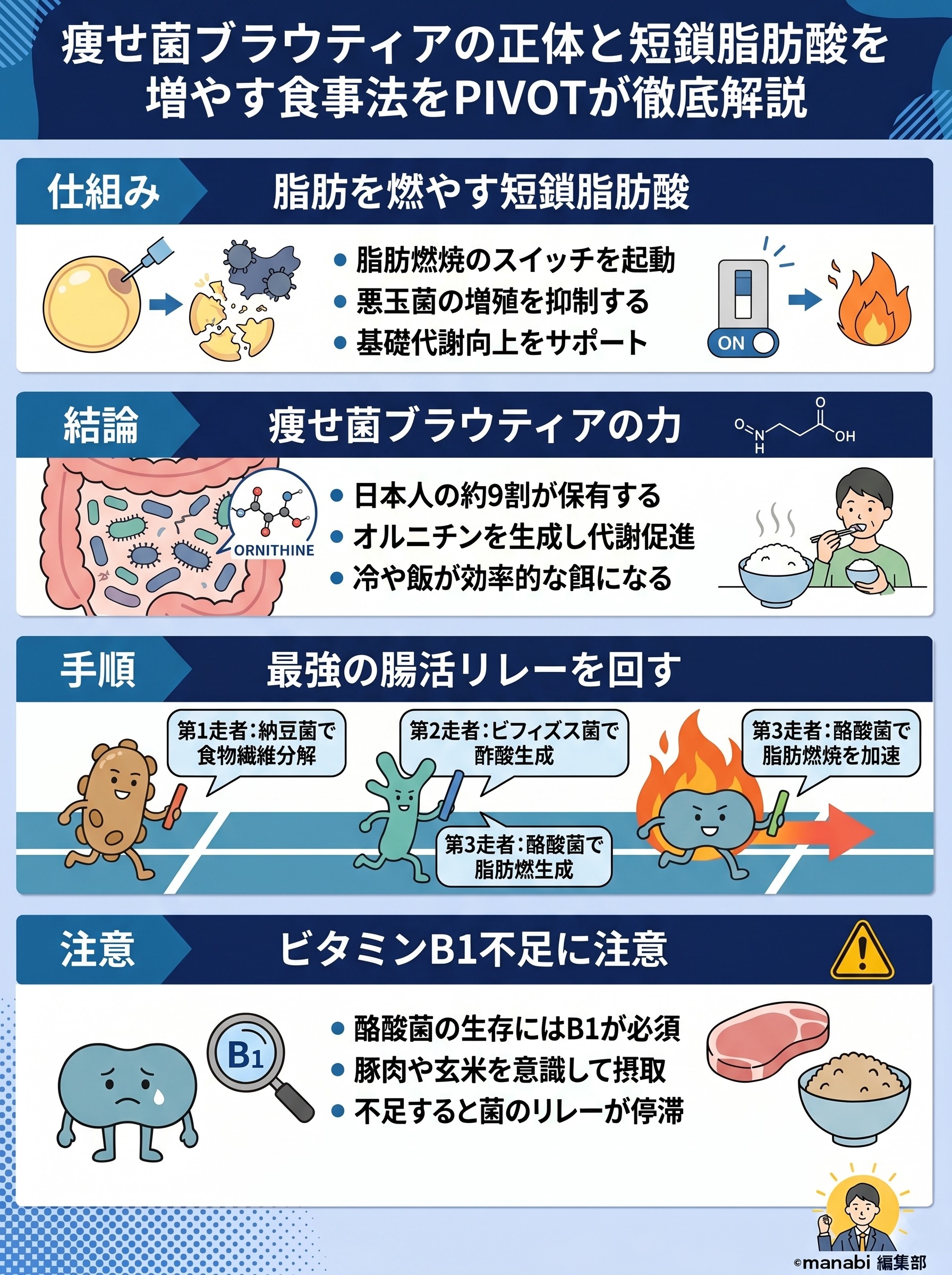 痩せ菌を増やす食べ物とは？ブラウティア菌と短鎖脂肪酸の仕組みを要約 - 1分でわかるスライド要約 (manabi)