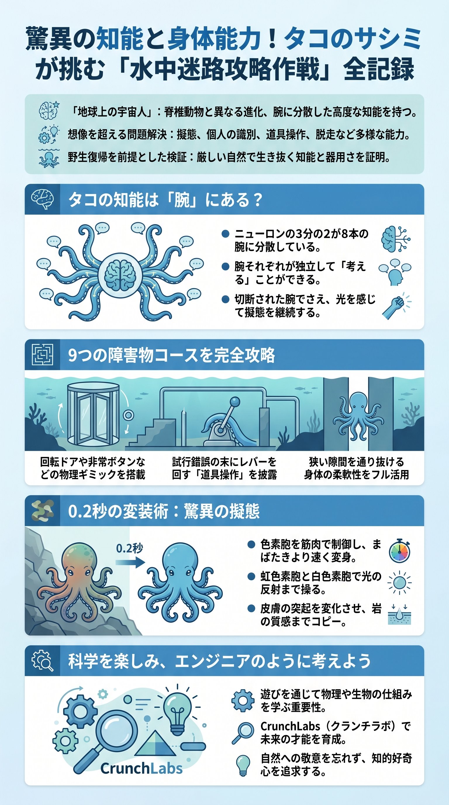驚異の知能と身体能力！タコのサシミが挑む「水中迷路攻略作戦」全記録 - 1分でわかるスライド要約 (manabi)