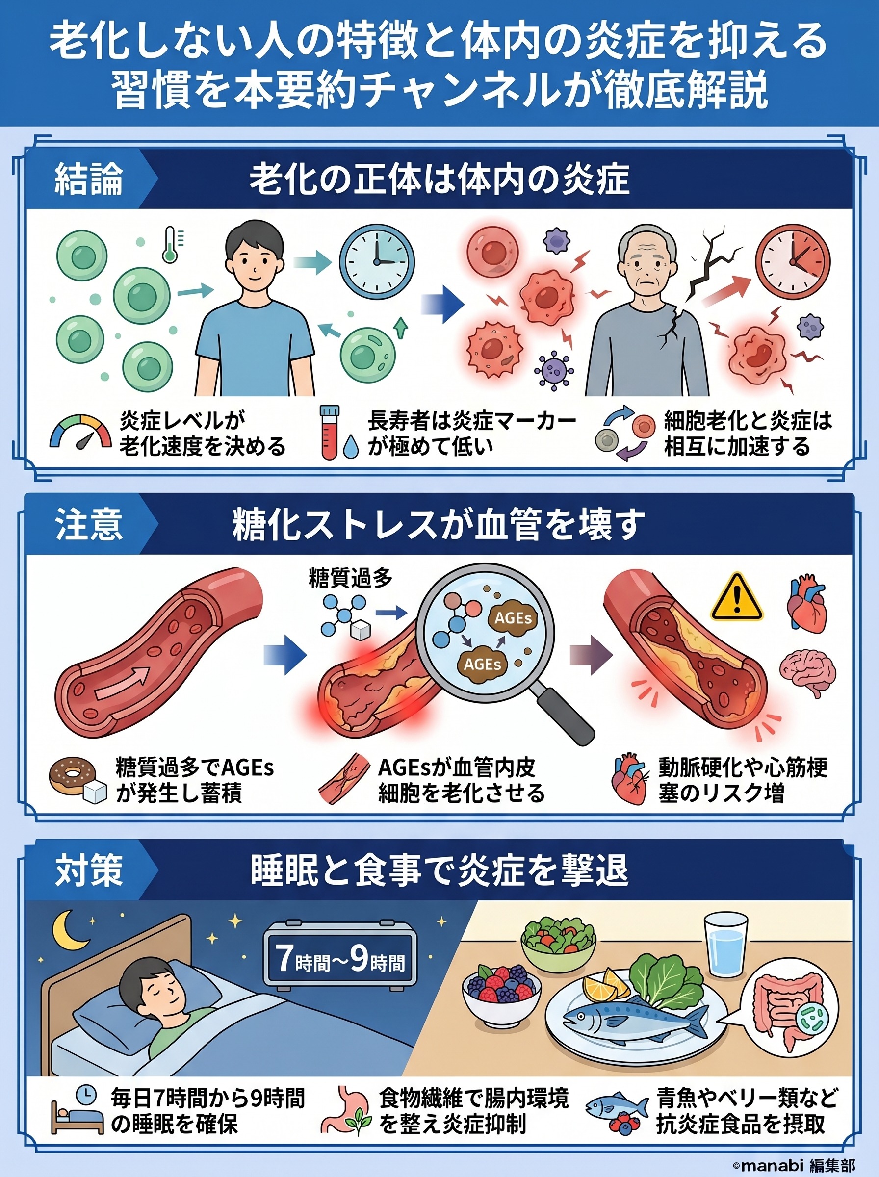 老化しない人の特徴とは？体内の炎症を抑える食事と習慣について要約 - 1分でわかるスライド要約 (manabi)