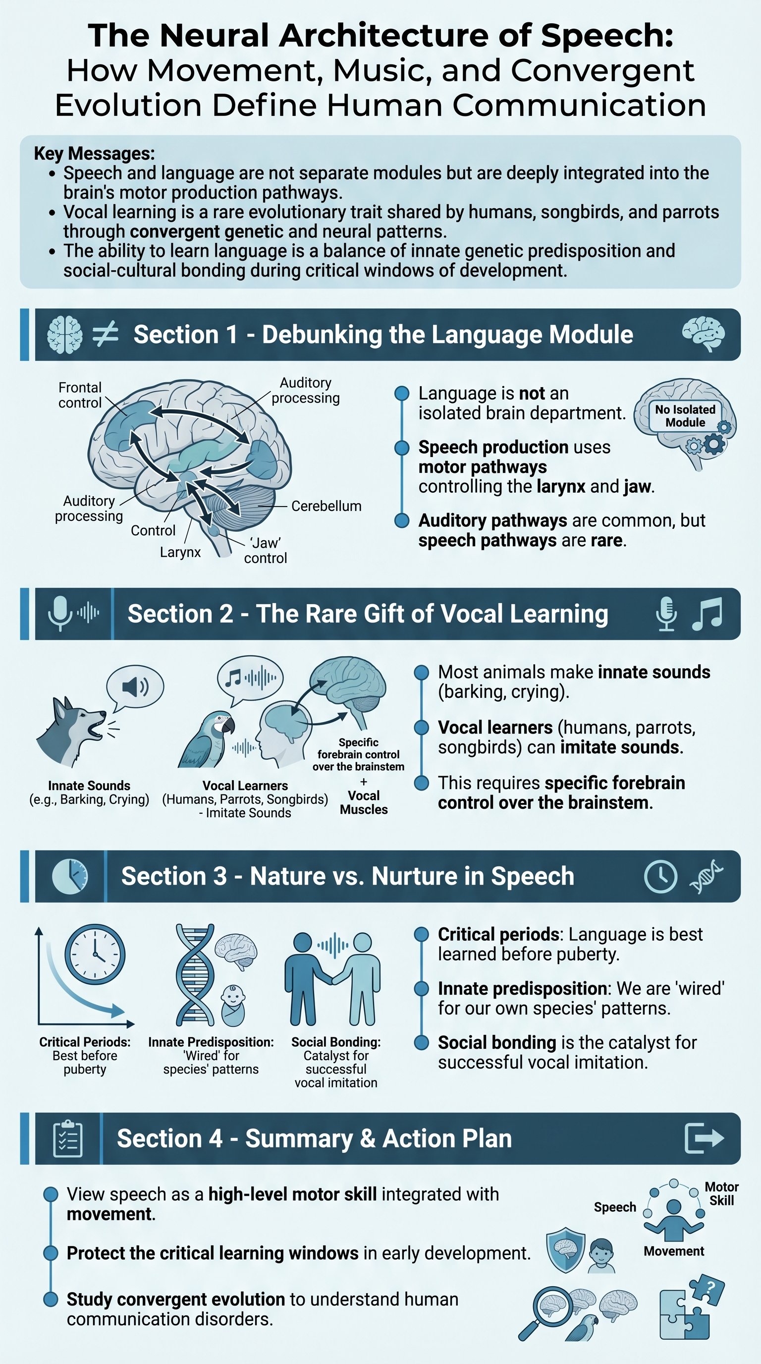 The Neural Architecture of Speech: How Movement, Music, and Convergent Evolution Define Human Communication - 1分でわかるスライド要約 (manabi)