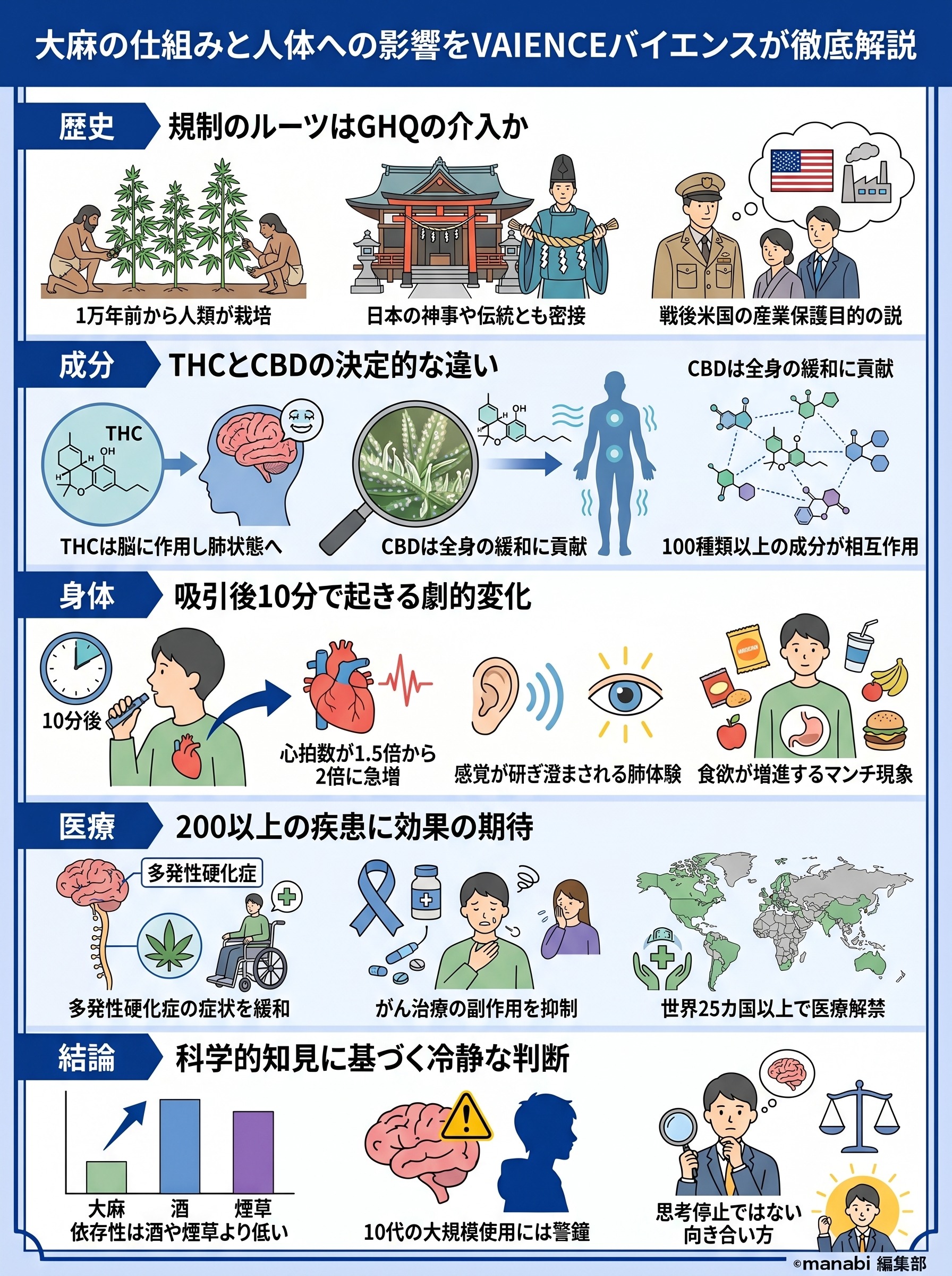 大麻はなぜ危険?脳と体への影響をVAIENCEの解説から要約 - 1分でわかるスライド要約 (manabi)